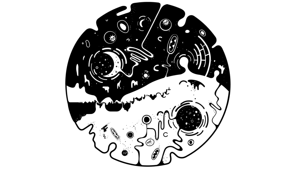 597700_20170519132716_1