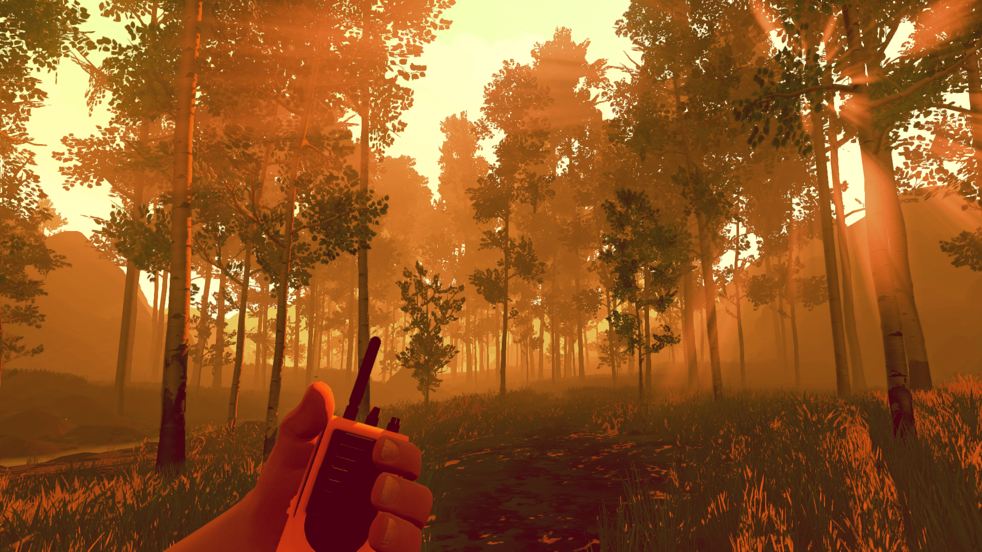 An image of a forest at sunrise.  The rays of the sun peek through the trees, casting the whole thicket in an orange glow.  The player character's hand is raised with a walkie-talkie in it.